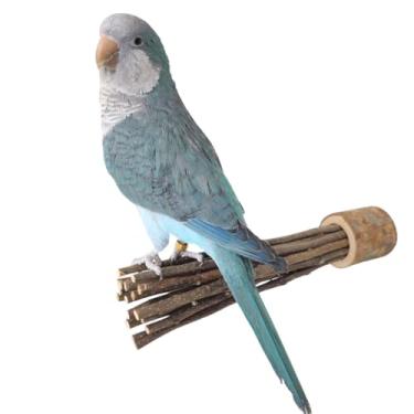 Imagem de CXYYXF Pássaro maçã madeira mordida brinquedo de poleiro suporte de poleiro gaiola de poleiro pendurado brinquedo de treinamento para periquitos, periquitos, calopsitas conures (grande)
