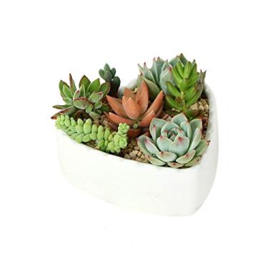 Imagem de JHNIF Vasos de plantas suculentas de cacto em cerâmica branca pura em forma de coração.