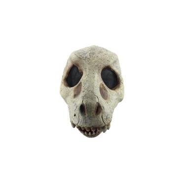 Imagem de Ghoulish Productions T Rex Skull Mask, T Rex Skull Halloween Mask. Trex Skull Mask For Halloween. Full Head Skull Mask. Skull Latex Mask Full Face. Skulls Line. Adult Mask. One Size Latex Mask