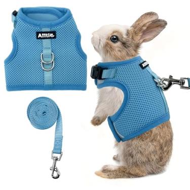 Imagem de AIITLE Conjunto de arnês e coleira respirável, alças ajustáveis e design de fita mágica, colete de ajuste confortável para filhotes, gatos, esquilos, ratos, coelhos, furões, caminhadas ao ar livre