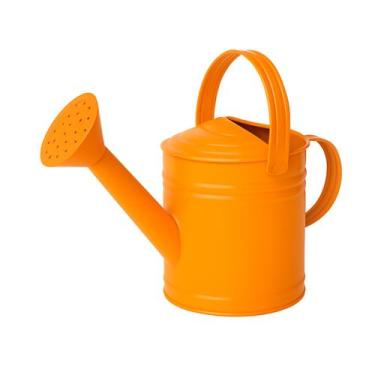 Imagem de Mini Regador de Metal Galvanizado 3 Litros - Jardim, Horta e Decoração