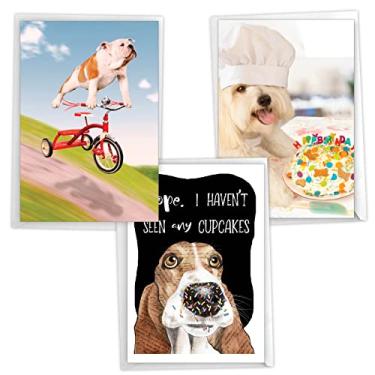 Imagem de NobleWorks Pacote sortido de 3 cartões comemorativos de aniversário com tema de cachorro hilário com envelopes de 12 x 18 cm (3 designs, 1 cada) filhotes de festa VC2804BDG-C1x3