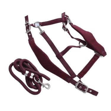Imagem de Halter de Cavalo, Poliéster Ajustável Com Acolchoamento Antifricção 2m Trela de Cavalo para Treinamento e Uso Diário (Médio)