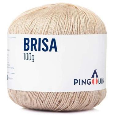 Imagem de Linha Brisa Verão 100g - Pingouin, 0703 - SISAL