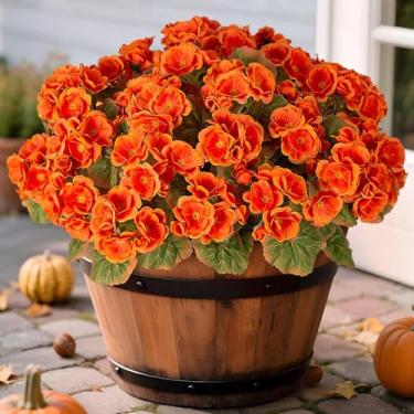 Imagem de Ammyoo Flores falsas de outono artificiais para decoração ao ar livre, 6 pacotes de flores de seda de gerânio sintético externo resistente a UV, não desbota, floral artificial para decoração de mesa