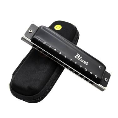Imagem de Gaita Profissional Adulto Blues 12 Furos Profissional Diatônica C Chave Pente de Alumínio (Tipo 1)