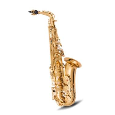 Imagem de Instrumento de saxofone E Flat Alto Saxofone Instrumento de Sopro Teste de Classificação Desempenho Adulto Iniciante Saxofone Profissional