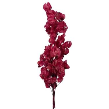 Imagem de Flor Bouganville Vermelho Desidratada Buque Seco Arranjo Decoração Int