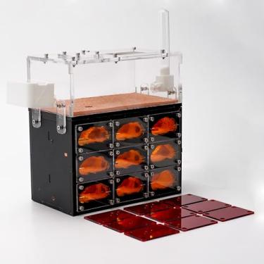 Imagem de Fazenda de formigas vivas com luzes internas - grande área de visualização - brinquedo de aprendizagem natural - ótimo presente