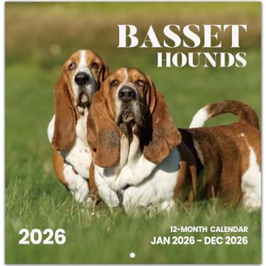 Imagem de Calendário 2026, Basset Hound Dogs Calendário de parede mensal 2026 funciona de novembro de 2025 a dezembro de 2026, calendário de parede suspenso, 29,5 cm x 61 cm aberto, layout de página inteira