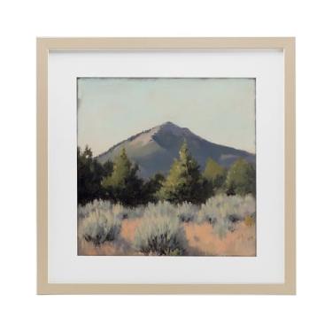 Imagem de Stupell Industries Tucson Mountain Landscape Impressão emoldurada cinza sob vidro, design por Petal Prints Design, 40,6 x 40,6 cm