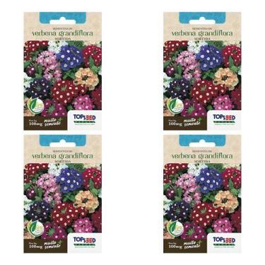 Imagem de Kit 4x Sementes De Verbena Grandiflora Sortida Vasos Jardins - Topseed