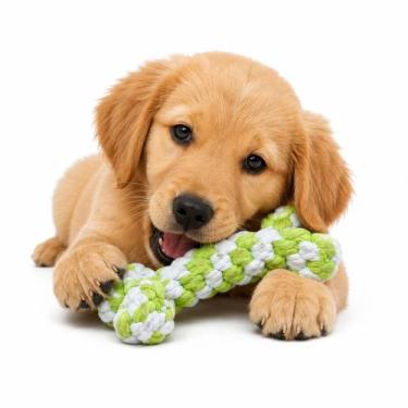 Imagem de Brinquedo Mordedor Osso Para Cachorro Pet Cores Variadas - GT PET