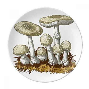 Imagem de Lindo prato de ilustração com padrão de cogumelo branco decorativo de porcelana salver louças de jantar