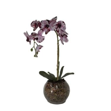 Imagem de Orquídea Burgundy Pintada x1 Vaso Aquário - Biofil