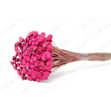 Imagem de 400 Botão Rosa Desidratado Sempre Viva Flores Secas - Pense Flores