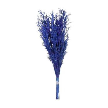 Imagem de Capim Chorão Azul Desidratado - Tem Flores