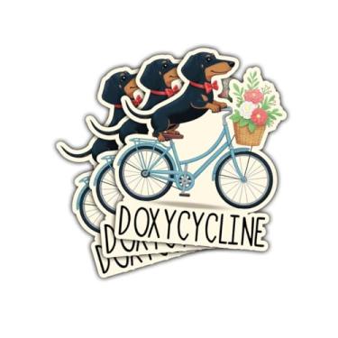 Imagem de 3 adesivos engraçados de Dachshund – Cachorro doxiciclina em bicicleta com flores, decalque de vinil fofo para amantes de cães, laptops, garrafas de água para assistentes veterinários estudantes