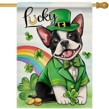 Imagem de Dyrenson Dia de São Patrício Boston Terrier Dog 28 x 40 bandeira de casa dupla face, trevo da sorte arco-íris jardim decoração de quintal dono de animal de estimação presente amante presente
