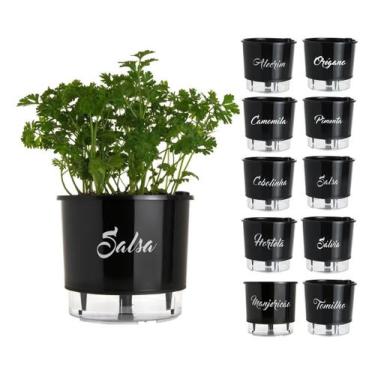 Imagem de Vaso Raiz Auto Irrigável Preto 16cm N3 Autoirrigável Tempero, Salsa