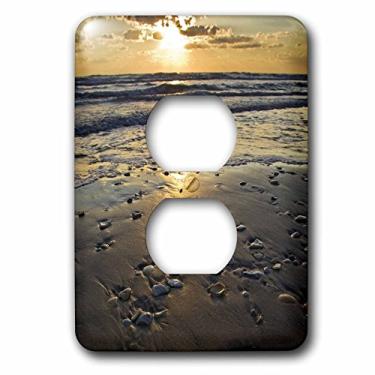 Imagem de 3dRose Lsp_94467_15 cm Conchas de Praia, Ilha Padre, Golfo do México, Texas-US44 LDI0021-Larry Ditto 2 Tomadas, Multicolorido