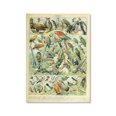 Imagem de Pôster vintage com estampa de pássaros franceses ornitologia, presentes para pássaros, educação, arte de parede, pintura em tela, sala de estar, decoração de casa (SKU2,11 x 35,6 cm = (28 x 35 cm