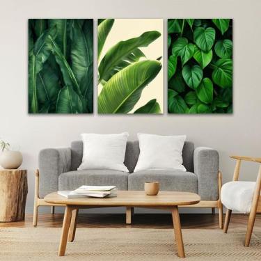 Imagem de KIT 3 Quadros Plantas Quadros Decorativos - 3M, 10x15