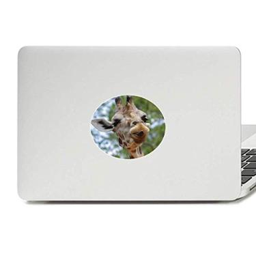 Imagem de Adesivo de notebook com emblema de vinil animal selvagem de veado com organismo terrestre