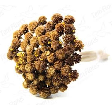 Imagem de Coroinha Natural Desidratado Buque Flores Secas - Tem Flores