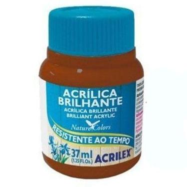 Imagem de Tinta Acrílica Brilhante Acrilex Marrom 37ML
