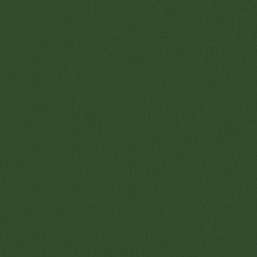 Imagem de Papel de parede importado Edantex TNT coleção Avalon 160 verde