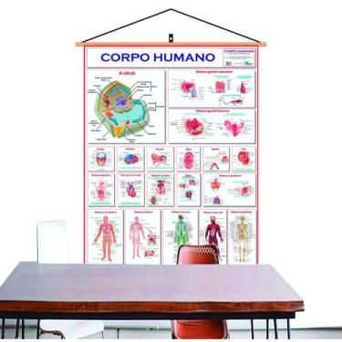 Imagem de Mapa Corpo Humano Banner - Laminado  Com Cordinha para Pendurar - SPM
