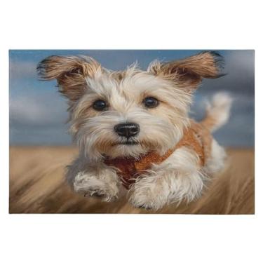 Imagem de CEBUGI Tapete de área 60 x 90 cm, macio, lavável, antiderrapante, com suporte de borracha, para sala de estar, quarto, decoração de casa