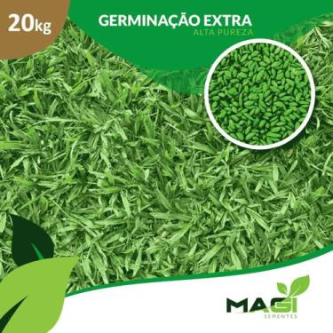 Imagem de Sementes de Grama Batatais (Mato Grosso) - Magi Sementes, 20 kg
