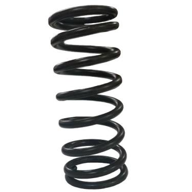 Imagem de Mola do Pistão Injetor TM 2500, Byg Compact R 2.5 , Menegotti, Dematic