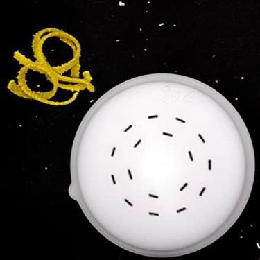 Imagem de PASTADISC - Discos em forma de massa adequados para máquina automática de macarrão e macarrão Philips, acessório para máquina de macarrão Philips, aparelho de cozinha, kit de acessórios (Vietnames PHO