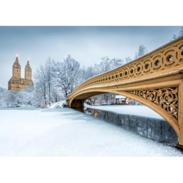 Imagem de Fmarui Cenário fotográfico de inverno de 3 x 2,4 m, ponte com arco no Central Park, cenários de inverno ao ar livre, decoração de festa natalina, adereços de cabine de fotos