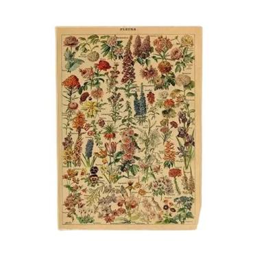 Imagem de Cartazes Vintage com Estampa de Cogumelos, Frutas e Vegetais - Arte Bo