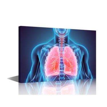 Imagem de TUMOVO Cartazes médicos arte de parede em tela decoração de parede ilustração 3D de pulmões impressão de imagem arte moderna para sala de aula decoração de casa emoldurada pronta para pendurar 91 x 61
