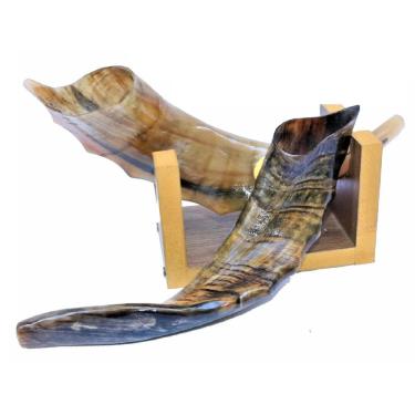 Imagem de Shofar De Chifre De Cabra Italiana + Suporte