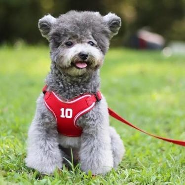 Imagem de Peitoral para cães em forma de X, alça peitoral acolchoada refletiva com coleira combinando para cães pequenos e médios, design de nylon e poliéster