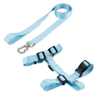 Imagem de Peitoral H Ajustável com Guia 1,30m para Cães – Confortável, Antifuga e Resistente | Coleira Peitoral para Cachorro(Kit Caribe,P)