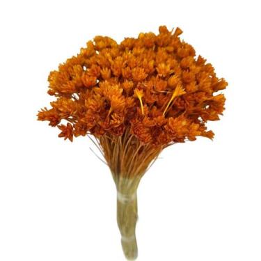 Imagem de Buque Flor Espeta Nariz Desidratado Arranjos Pinterest Decor - Inspira