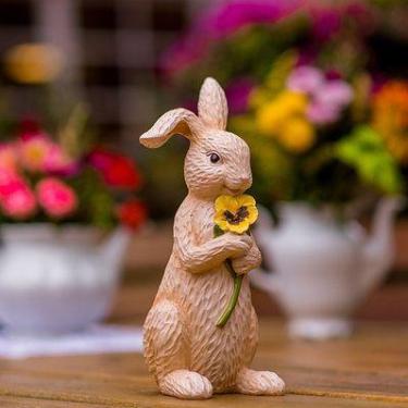 Imagem de Coelho Com Flor Amor Perfeito Páscoa Portland
