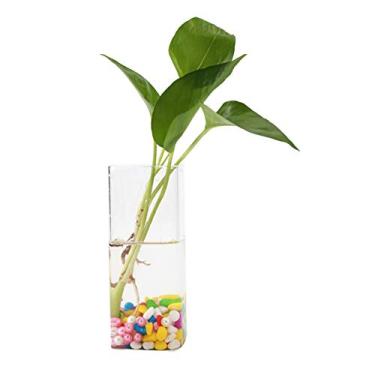 Imagem de SPYMINNPOO Decoração Resistente a Estilhaços de Vaso de Vidro Suspenso para Casa ou Escritório, Recipiente Hidropônico de Montagem Em Parede para Plantas Pequenas, Atmosfera de Vida Moderna,