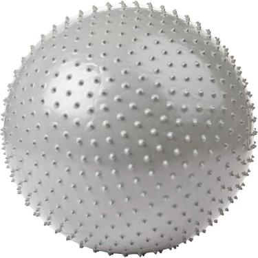 Imagem de Bola Suíça de 55cm com massageadores WCT Fitness