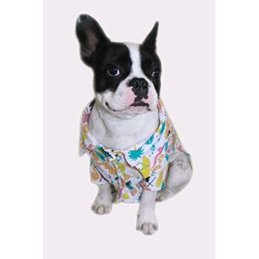 Imagem de Camisa para cachorro - Roupa para Cachorro - Summer Vibe - (P)