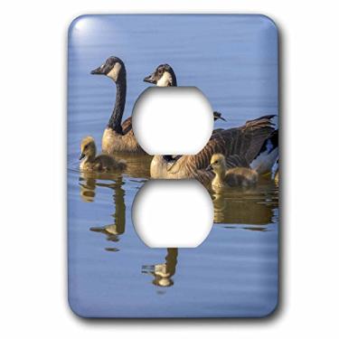 Imagem de 3dRose lsp_142897_6 Canada Goose Birds, San Francisco Bay, Califórnia EUA Us05 Tno0064 Tom Norring 2 Tomadas Capa