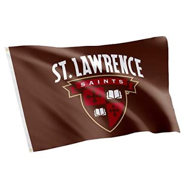 Imagem de Desert Cactus St. Lawrence University SLU Saints Bandeira 100% poliéster interior exterior 0,9 m x 1,5 m