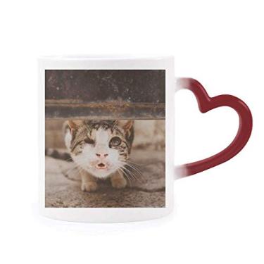 Imagem de Caneca divertida de animal com foto de gato sensível ao calor, caneca de grés que muda de cor vermelha